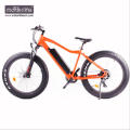 Bicicleta eléctrica Electro bike 8fun motor, 48V550W Venta caliente ebike